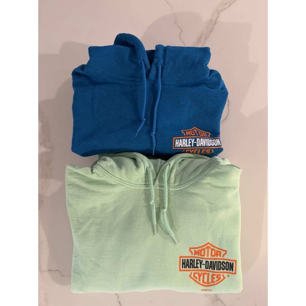 Harley Davidson Hoodie Lot of 2 Medium Pocono Mountain PA Sweatshirt Blue Green